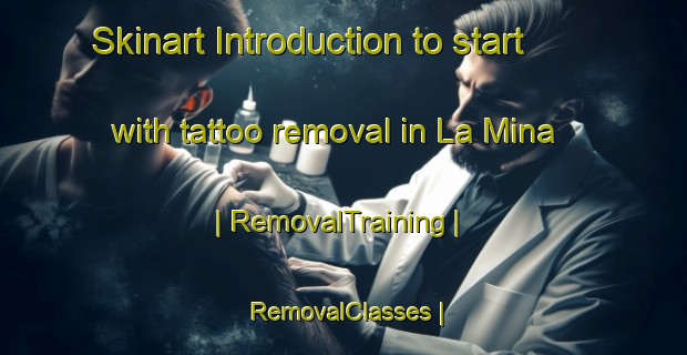 Skinart Introduction to start with tattoo removal in La Mina | RemovalTraining | RemovalClasses | SkinartTraining-Spain